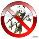 Сеть против насекомых